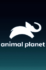 Animal Planet Hindi SD